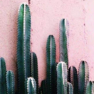 Meet your Posher, Madeline